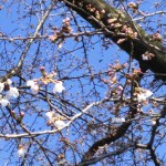 rps20160326_124839_801