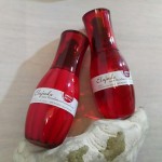 rps20160411_132747_743