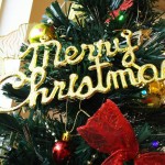 rps20161124_104311_208