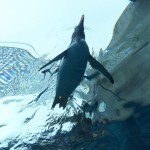 rps20170517_154918_286