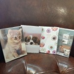 SmartSelect_20221201_111936_Gallery