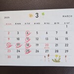 IMG_20250131_175122_028