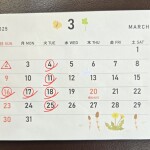 Screenshot_20250303_140228_Gallery