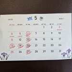 20250331_161620_copy_2992x2992