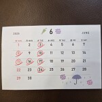 20250430_164410_copy_2992x2992_1