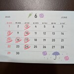 20250531_163129006_copy_3912x3912_1