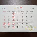 20250531_163147291_copy_3940x3940_1